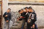 Badr