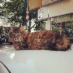 Yusuf