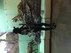 Eunice